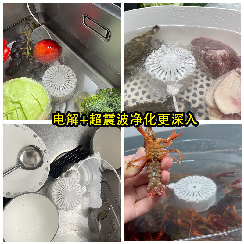 A ultrasonic purifier