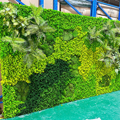 A mossy plant wall landscaping mossy window interior decoration micro landscape immortal flower mossy