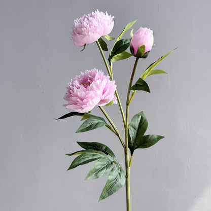 A high-quality simulated three-headed peony, peony home decoration