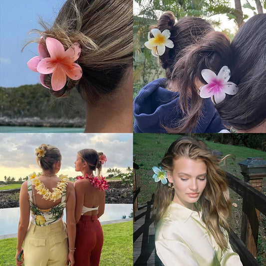 A egg flower hairpin gradual change Bauhinia back head grab clip temperament shark clip