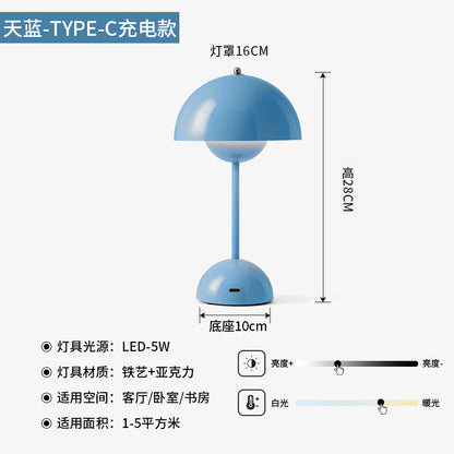A USB charging lamp