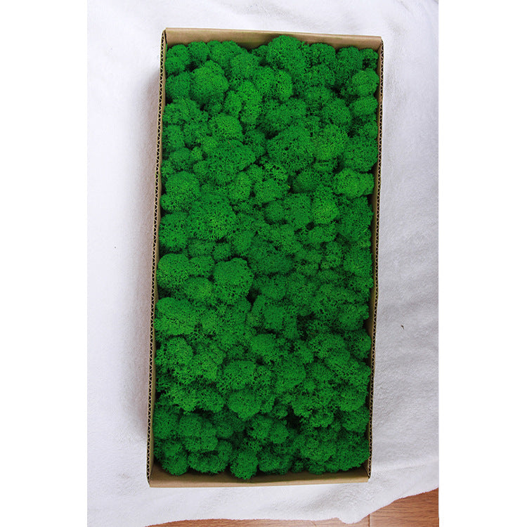 A mossy plant wall landscaping mossy window interior decoration micro landscape immortal flower mossy