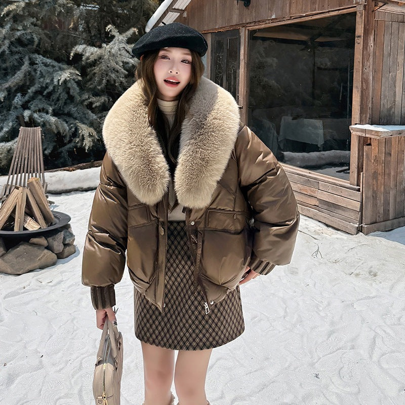 A Winter Warm Jacket