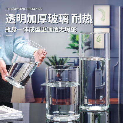 A straight glass vase plant container fish tank ornament