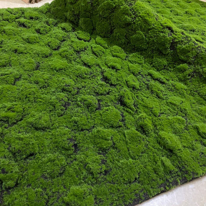 A Plant wall simulation moss green false moss moss micro landscape bonsai landscaping decorative material lawn turf