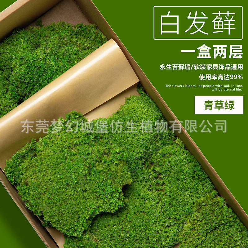 A mossy plant wall landscaping mossy window interior decoration micro landscape immortal flower mossy