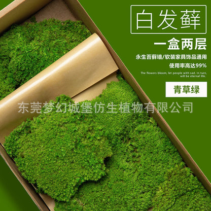 A mossy plant wall landscaping mossy window interior decoration micro landscape immortal flower mossy
