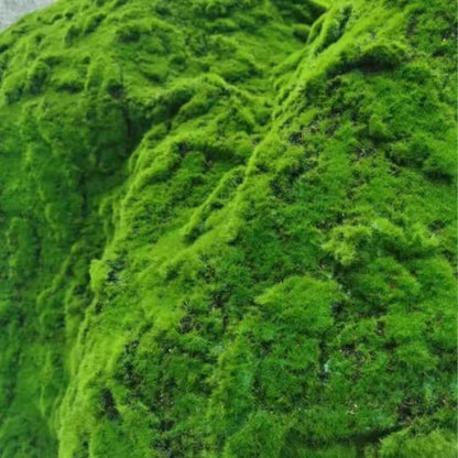 A Plant wall simulation moss green false moss moss micro landscape bonsai landscaping decorative material lawn turf