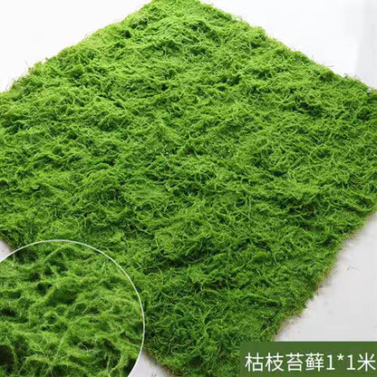 A simulated moss moss gardening plant wall DIY