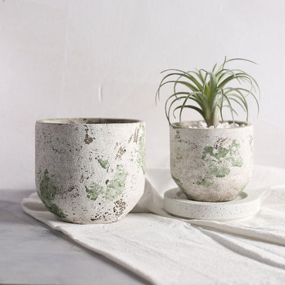 A Old Craft Cement Flower Pot Planting Utensils