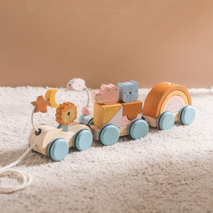 A Baby Early Education Educational Wooden Toys Montessori Teaching Multifunctional Hands-on Brain Shape Cognition Set