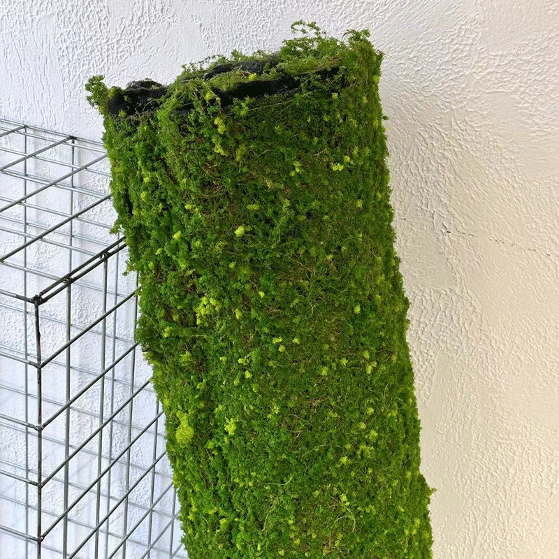A simulated moss turf green moss micro landscape layout background plant wall decoration material artificial turf lawn