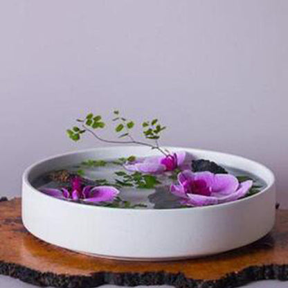 A Plastic flower plate flower arrangement device