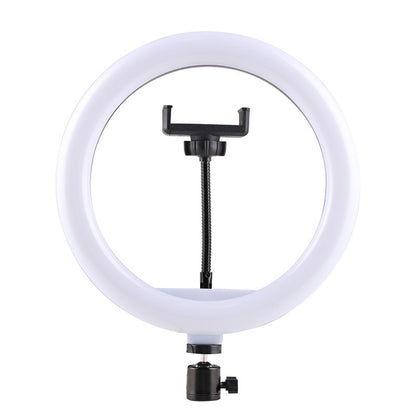 A Ring fill light