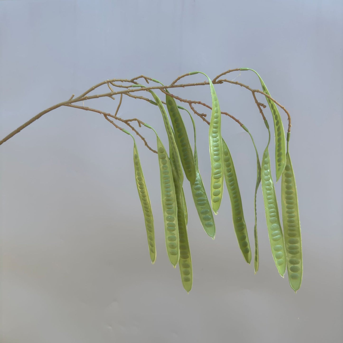 A Mori Monet Garden Simulation Flower Wedding Flower Reed < unk > Grass Fluffy Eucalyptus Green Simulation Flower