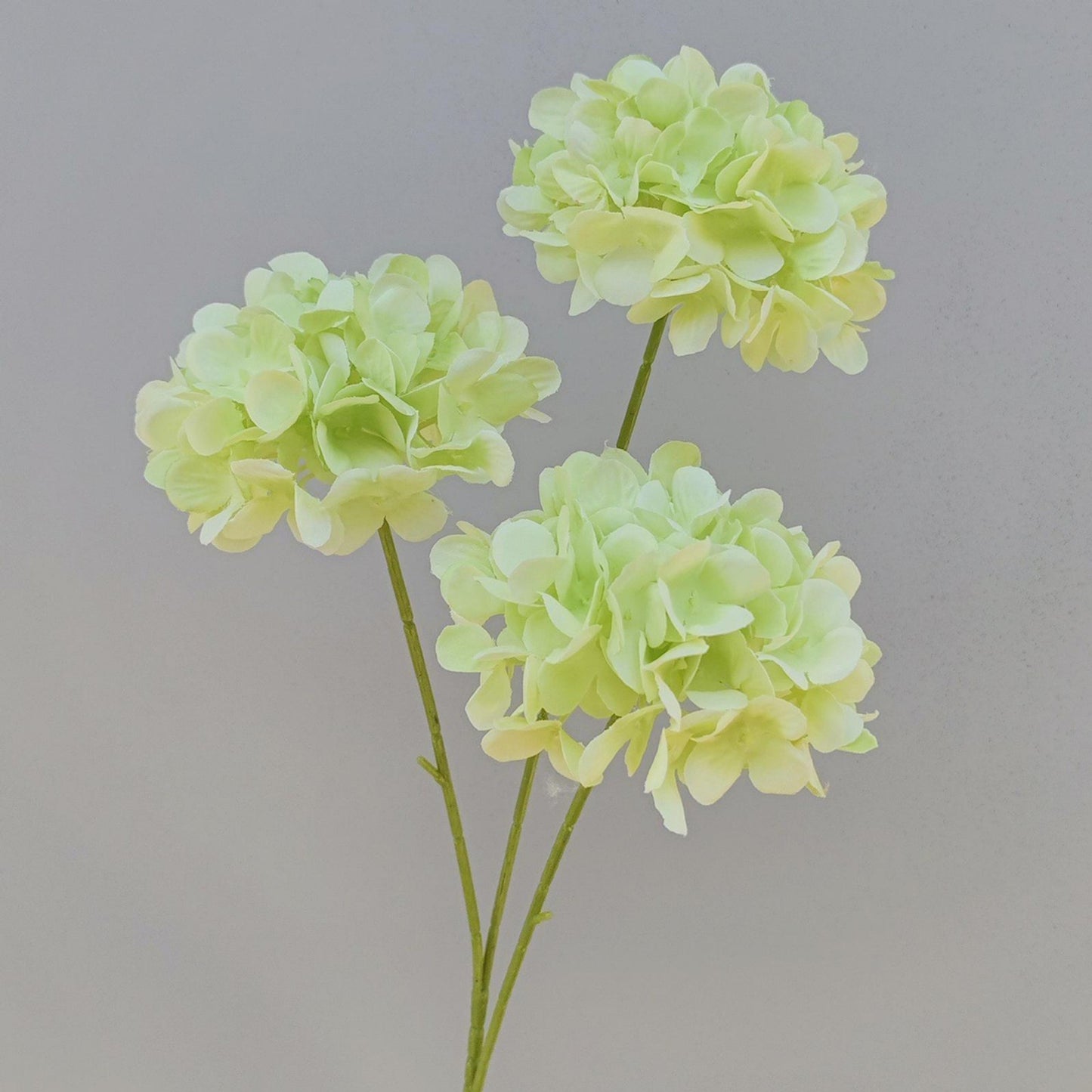 A Mori Monet Garden Simulation Flower Wedding Flower Reed < unk > Grass Fluffy Eucalyptus Green Simulation Flower