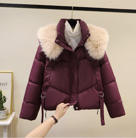A Winter Warm Jacket