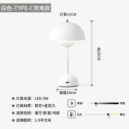 A USB charging lamp