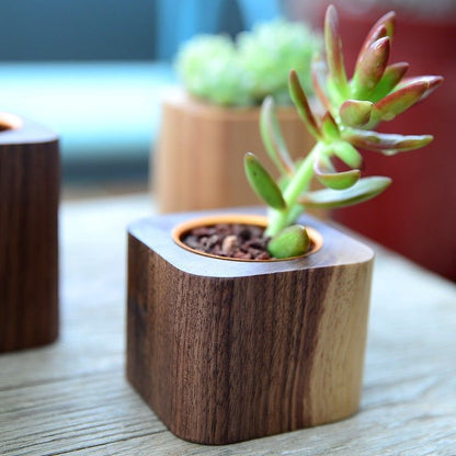 P succulent flower pot black walnut solid wood table ornament