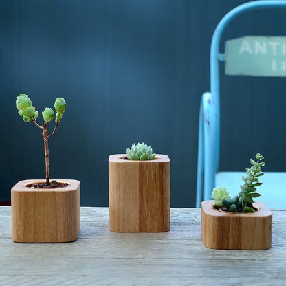 P succulent flower pot black walnut solid wood table ornament