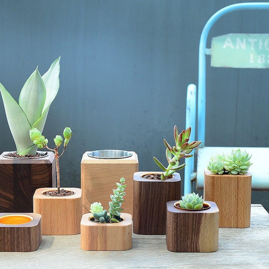 P succulent flower pot black walnut solid wood table ornament